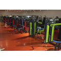 Equipamentos de fitness equipamentos/ginásio para Glute Ham levantar (FW-2029)